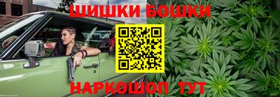 индика Владимир
