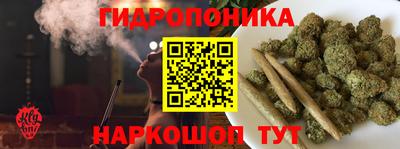 индика Владимир