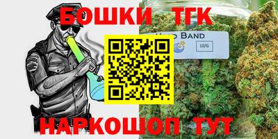 индика Владимир