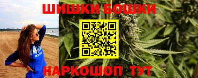 индика Владимир