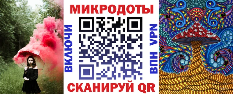 OMG как зайти  Астрахань  Галлюциногенные грибы Psilocybe 