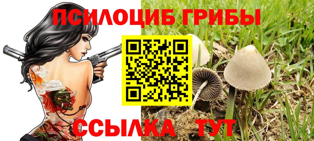 Астрахань  Галлюциногенные грибы MAGIC MUSHROOMS  как найти закладки  Псилоцибиновые грибы GOLDEN TEACHER  Вход с VPN 